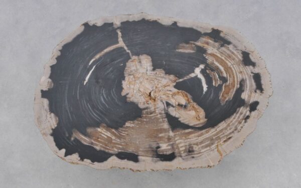 Couchtisch versteinertes Holz 41169