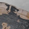 Couchtisch versteinertes Holz 41199