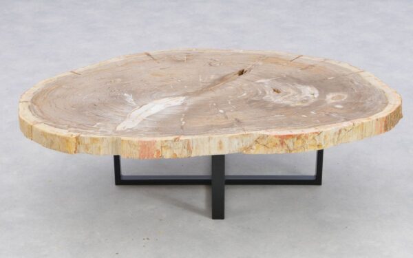 Mesa de centro madera petrificada 41144