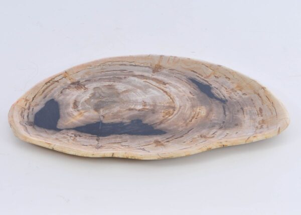 Plate petrified wood 41009m