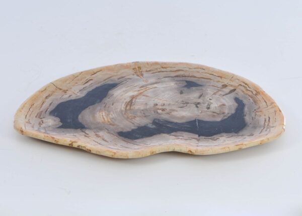 Plate petrified wood 41010a