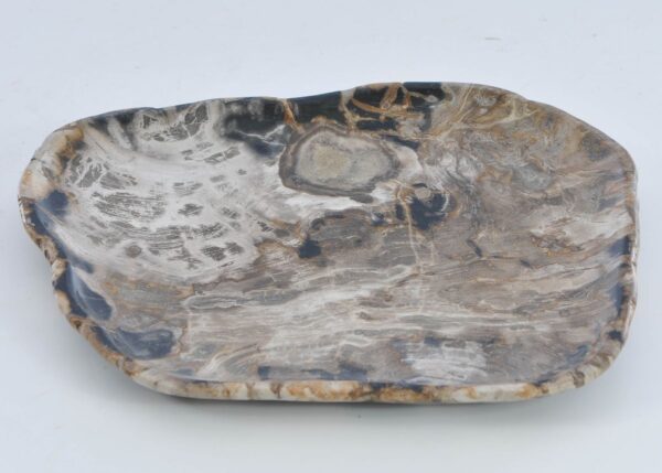 Plate petrified wood 41014i