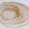 Plate petrified wood 41015b