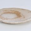 Plate petrified wood 41015b