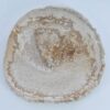 Plate petrified wood 41015f