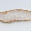 Plate petrified wood 41019a
