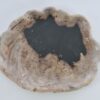 Plate petrified wood 41173