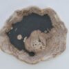Plate petrified wood 41176