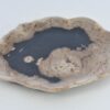 Plate petrified wood 41176