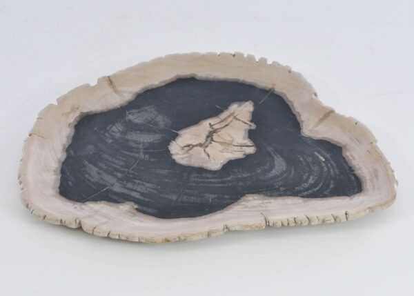 Plate petrified wood 41221o