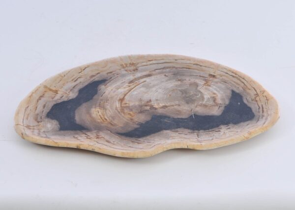 Plato madera petrificada 41010d
