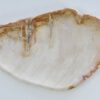 Plato madera petrificada 41017c