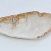Plato madera petrificada 41017c