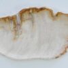 Plato madera petrificada 41017d