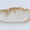 Plato madera petrificada 41017d