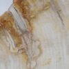 Plato madera petrificada 41017d