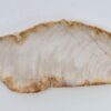 Plato madera petrificada 41019a
