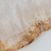 Plato madera petrificada 41019a