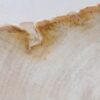 Plato madera petrificada 41019a