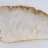 Plato madera petrificada 41019d