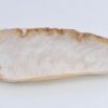 Plato madera petrificada 41019d
