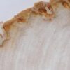 Plato madera petrificada 41019d