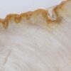 Plato madera petrificada 41019g