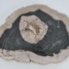Plato madera petrificada 41221i