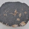 Salontafel versteend hout 41199