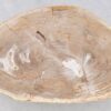 Table basse bois pétrifié 41146