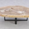 Table basse bois pétrifié 41146