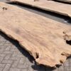 Baumstamm Tisch suar 29703