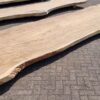 Baumstamm Tisch suar 29704