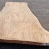 Baumstamm Tisch suar 29704