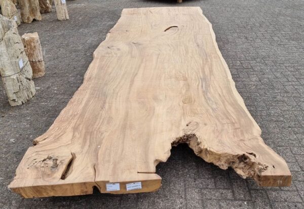 Baumstamm Tisch suar 29708