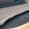 Baumstamm Tisch suar 29713
