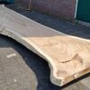 Baumstamm Tisch suar 29713