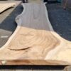 Baumstamm Tisch suar 29713