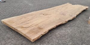 Boomstamtafel suar 29708