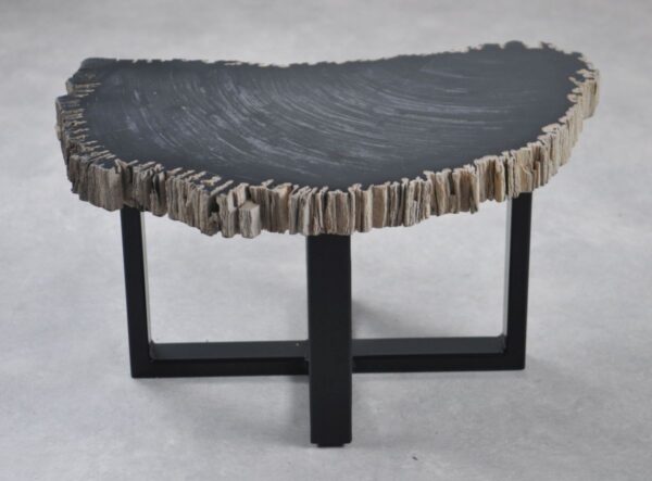 Coffee table petrified wood 35260