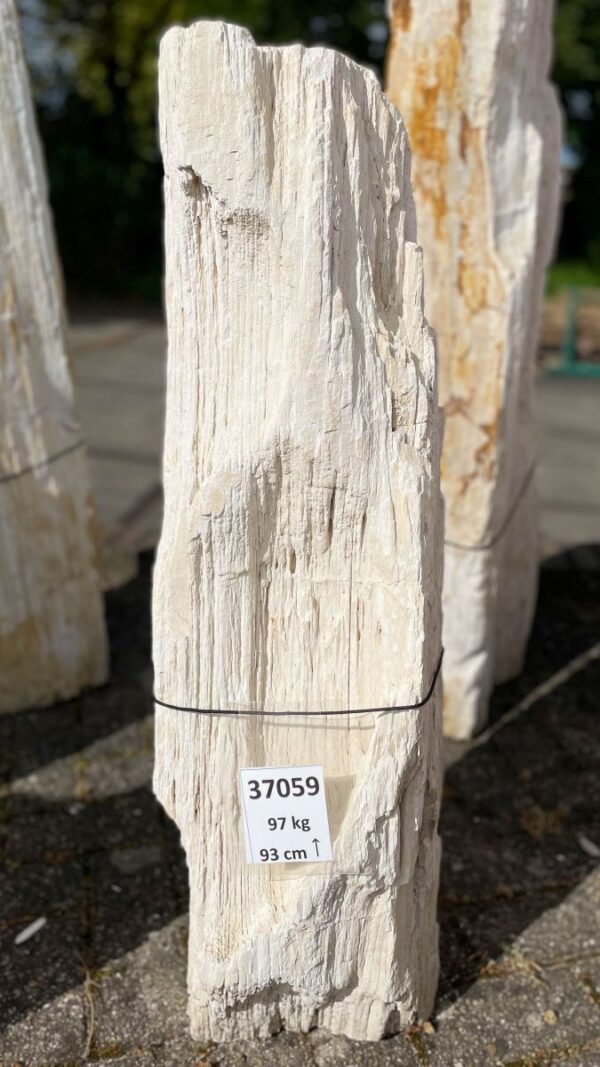 Grabstein versteinertes Holz 37059
