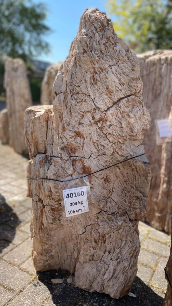 Grabstein versteinertes Holz 40160