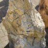 Grafsteen versteend hout 19027