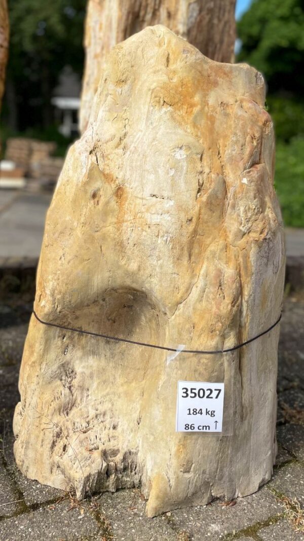 Grafsteen versteend hout 35027