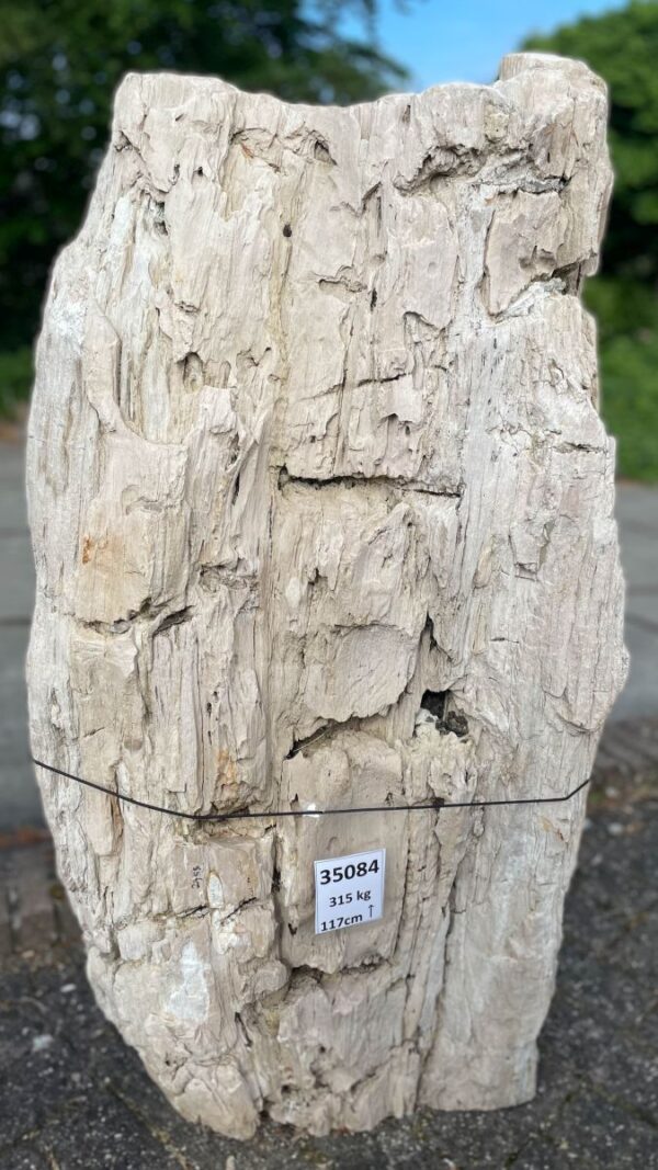 Grafsteen versteend hout 35084