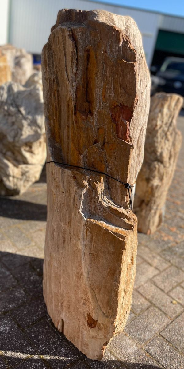 Grafsteen versteend hout 38117