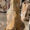 Grafsteen versteend hout 38443