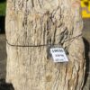 Lápida madera petrificada 19036