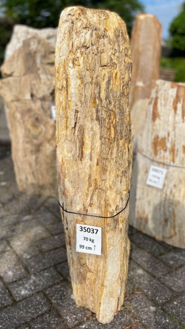 Lápida madera petrificada 35037