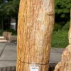 Lápida madera petrificada 35074
